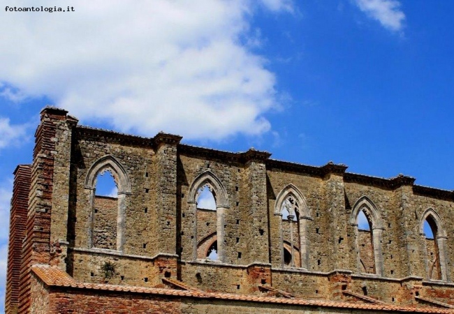 Quelle navate aperte verso il cielo...