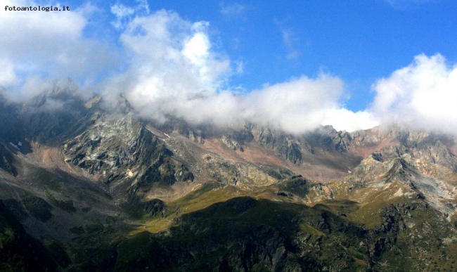 Alpi