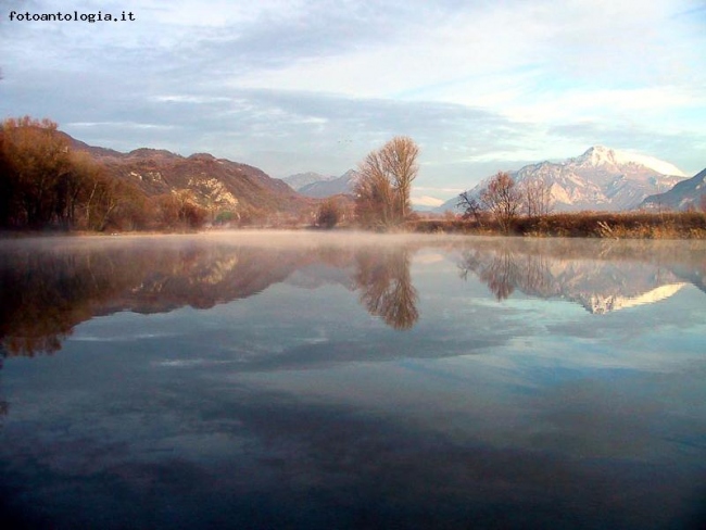 Riflessi