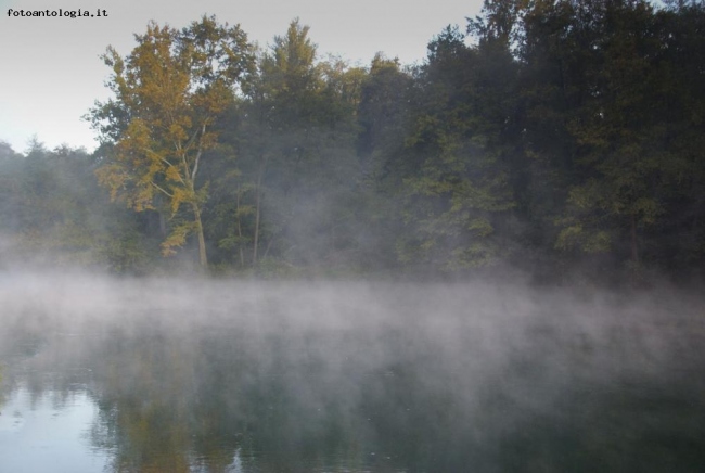 Autunno -2-