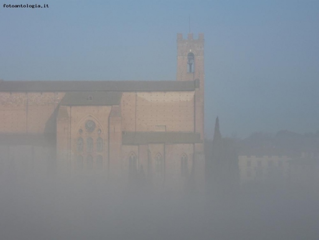 Nebbia al mattino