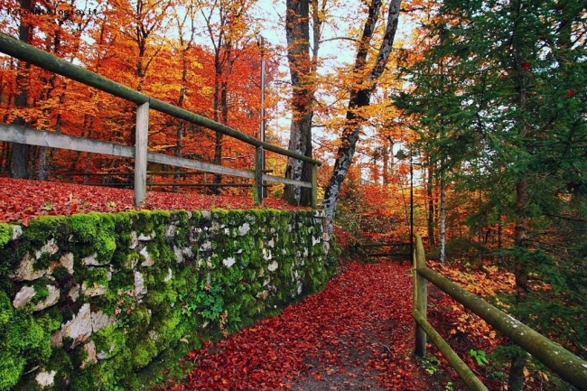 La passeggiata degli innamorati