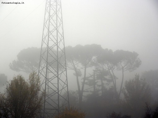 nebbia toscana