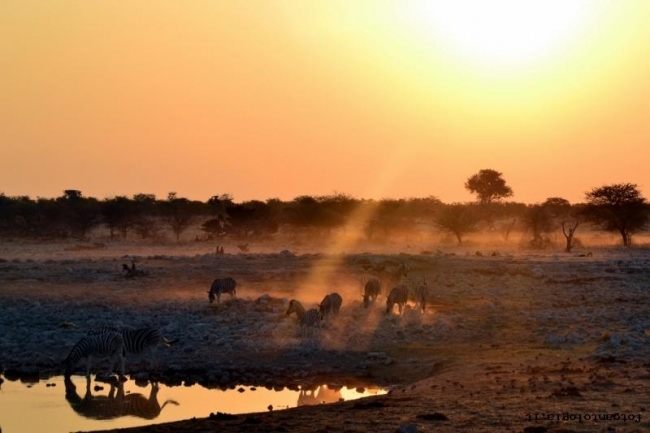 Tramonto africano