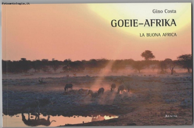 Goeie-Afrika