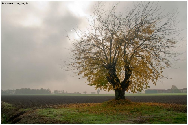 un giorno di novembre