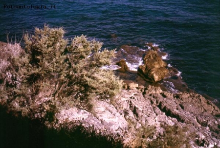 Sicilia - scogli e colori