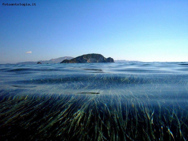 Onde Lunghe