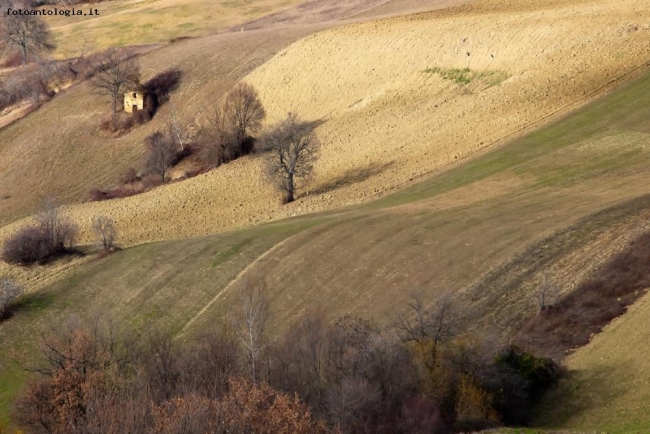 Le Colline