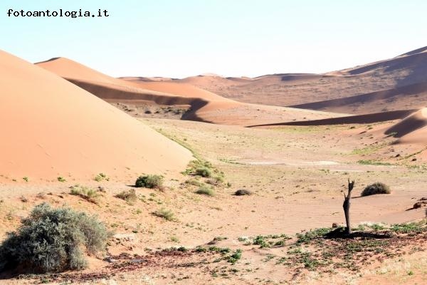 Deserto del Namib
