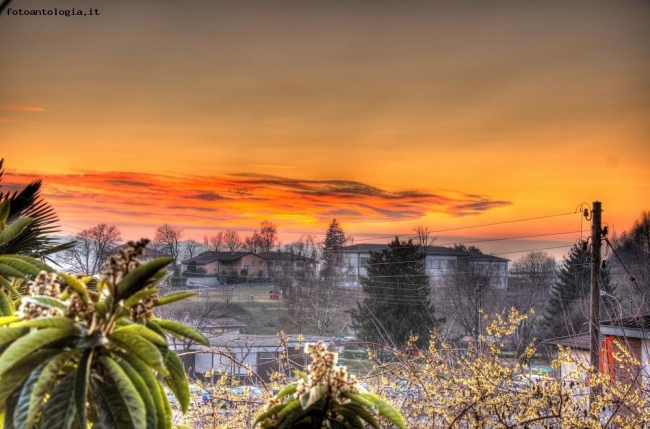 Dal giardino di casa