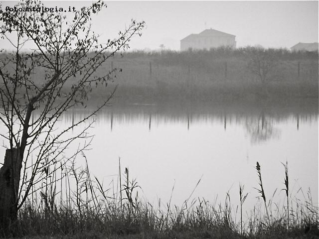 saline di Cervia  nella nebbia