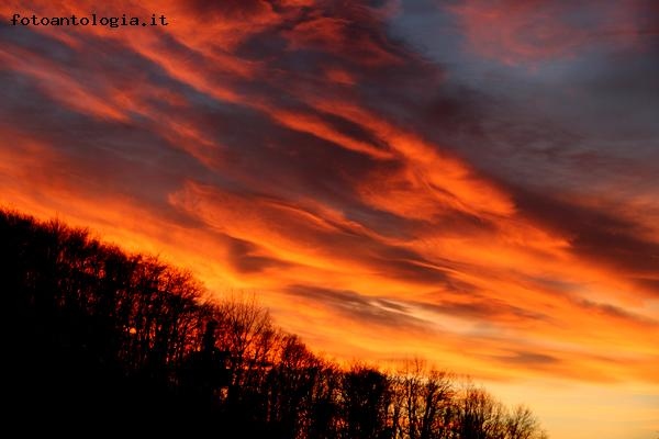 PENNELLATE DI TRAMONTO