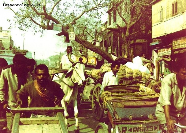 traffico urbano a New-Delhi