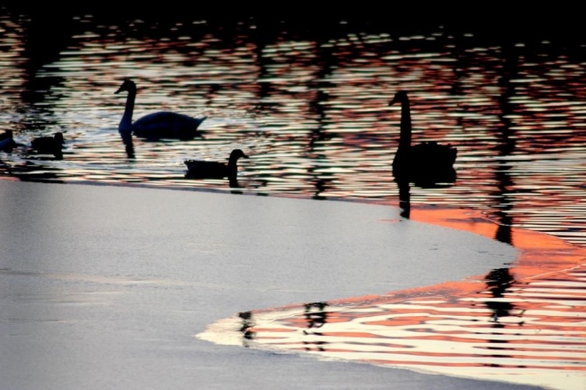 Il lago ghiacciato