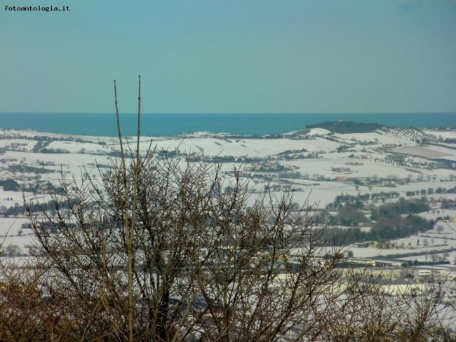 vicini,vicini:neve e mare