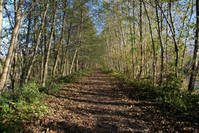 Lunga e diritta correva la strada ..2