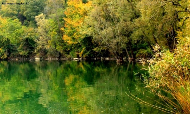 Profondo verde