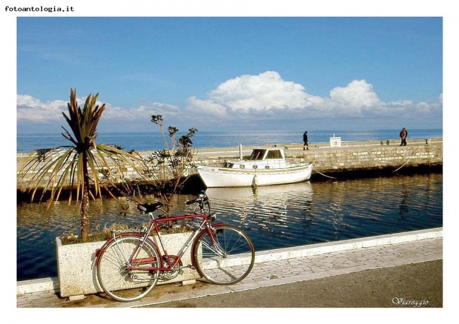 Viareggio - Tantissimi scatti fa