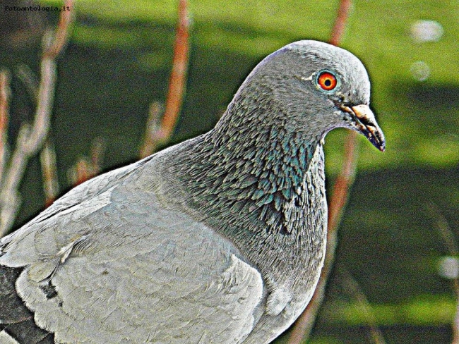 ...uno dei miei amici...