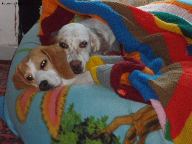 sissi e lola