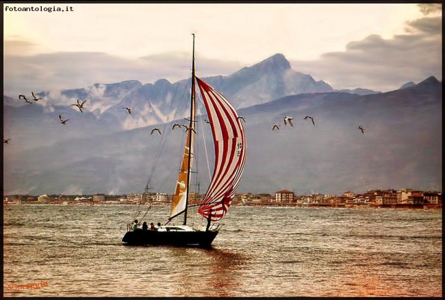 Amore di mare - Versilia bella