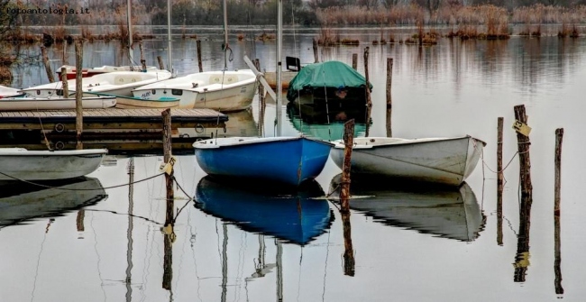 Malinconia d'inverno