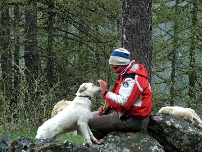 il pastore e il suo cane