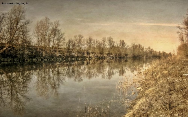 Riflessi 