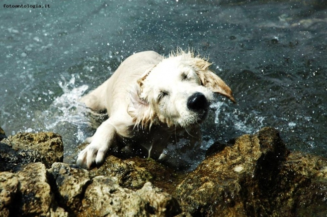 Gocce d'acqua e non solo