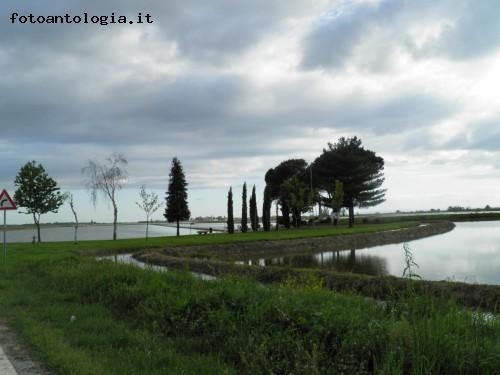 risaie effetto lago