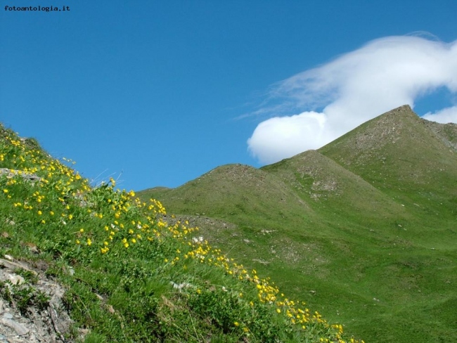 vento in quota