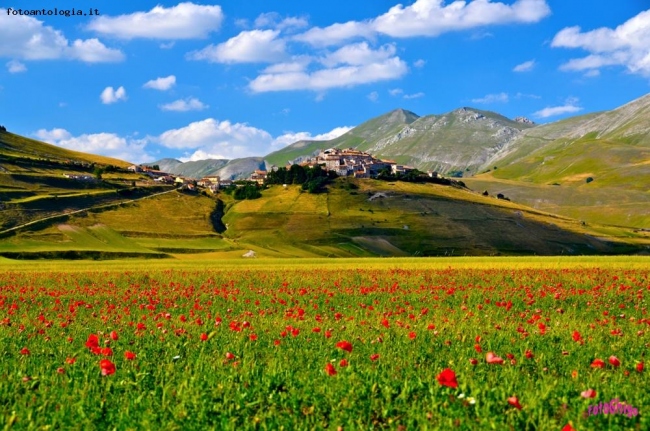 Castelluccio di Norcia..