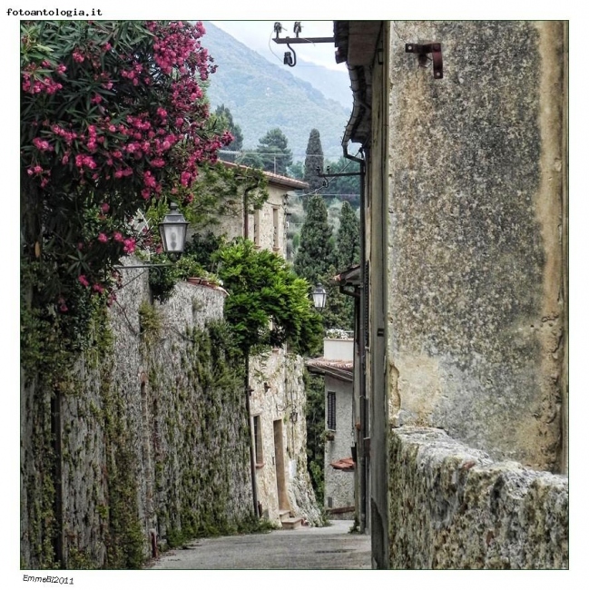 Vicoli di Monteggiori - Versilia Bella