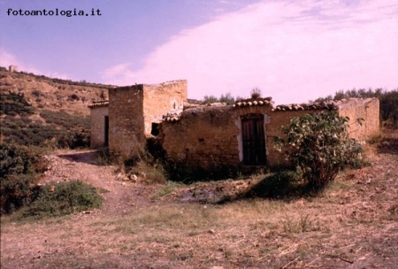 Ribera - Campagna Siciliana