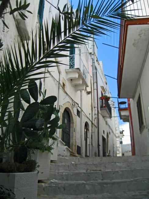 Ostuni, la citt bianca