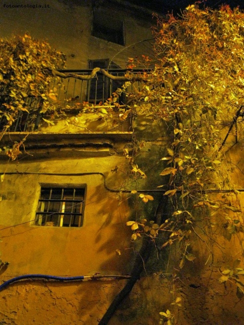 Roma by night - Trastevere