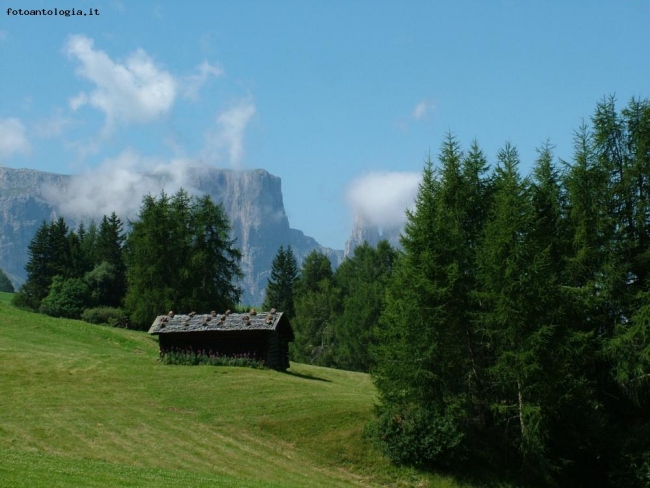 Alpe di Siusi