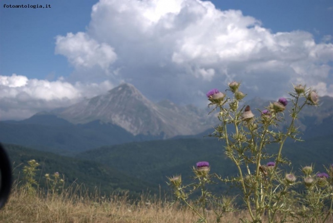 Monte della Maiella