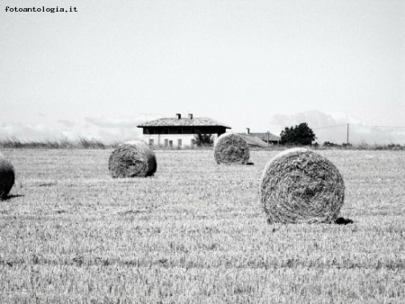 Fieno e cascina