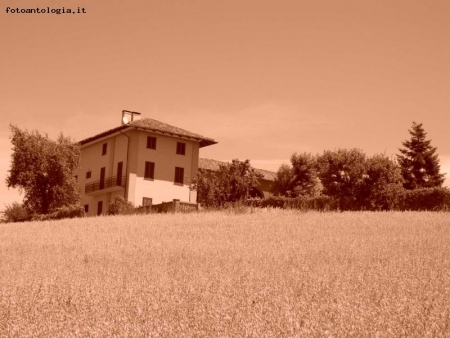 Cascina su campo seppia