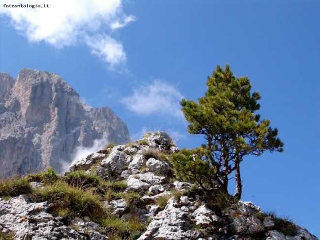 VITA TRA LE ROCCE