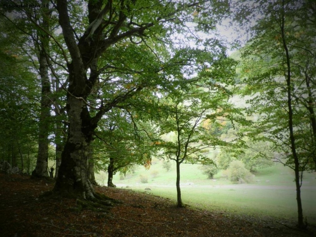 Respiri di luce