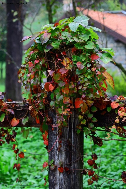 Benvenuto autunno