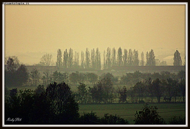 La nebbia agli irti colli ...