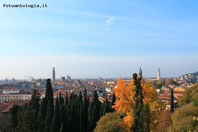 Verona