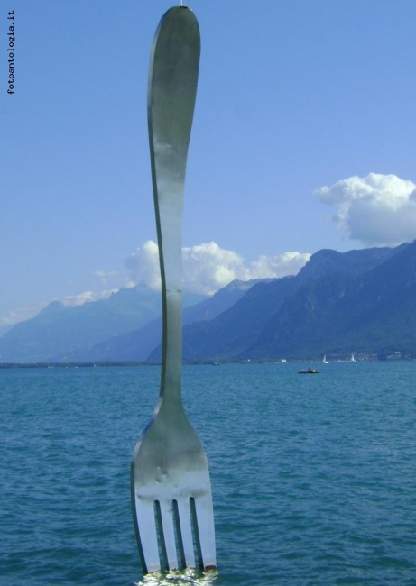 Una forchetta nel lago
