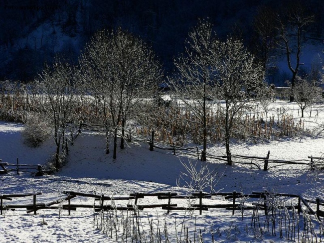 dopo la neve.......... il sole!!