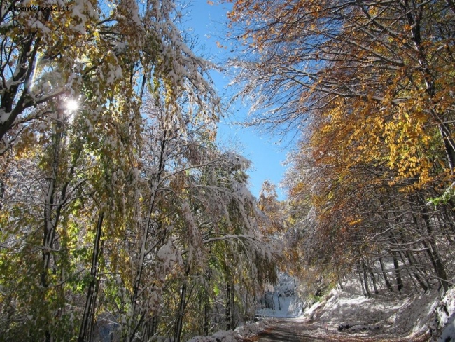 Neve sui colori d'autunno
