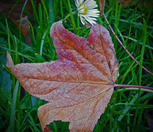 autunno e primavera insieme